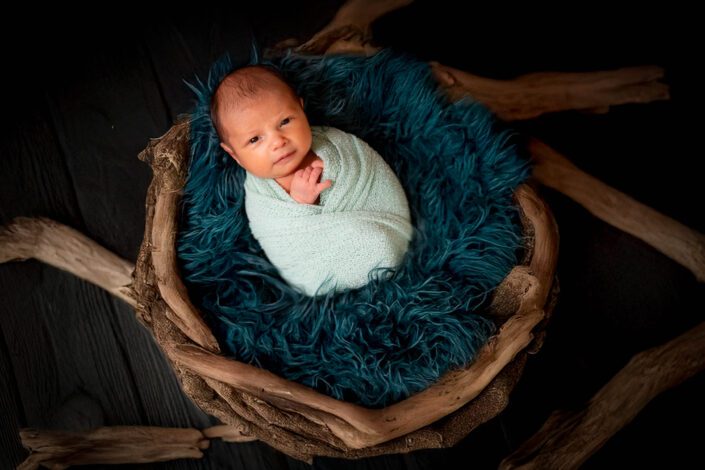 צילומי ניו בור